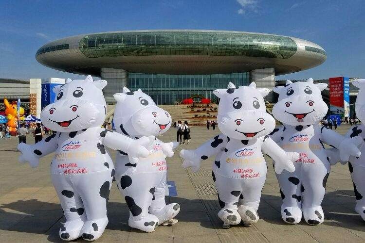 贵州奶牛固定吉祥物