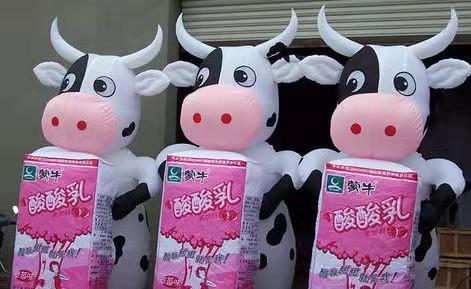 贵州牛奶厂广告气模